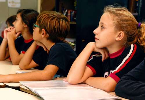 El efecto de dotación y el conocimiento